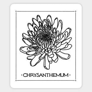 Flower Illustration - Chrysanthemum Magnet